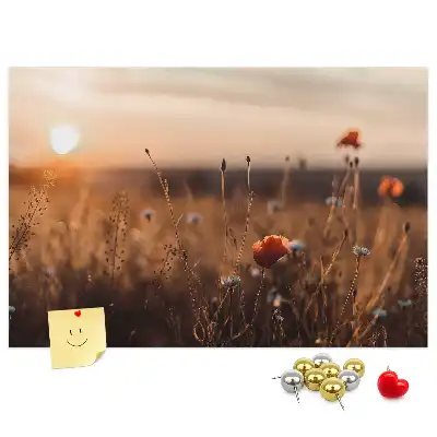 Mező napkelte mintás fali parafa üzenőtábla