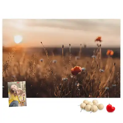 Mező napkelte mintás fali parafa üzenőtábla