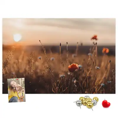 Mező napkelte mintás fali parafa üzenőtábla
