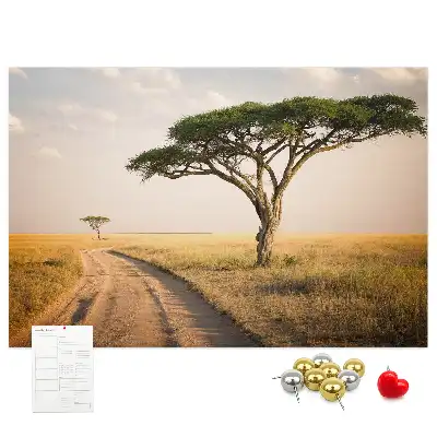 Afrikai táj mintás parafatábla
