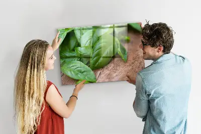 Bazsalikomlevelek mintás fali üzenőtábla