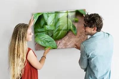 Bazsalikomlevelek mintás fali üzenőtábla