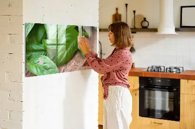 Bazsalikomlevelek mintás fali üzenőtábla