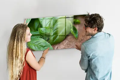 Bazsalikomlevelek mintás fali üzenőtábla