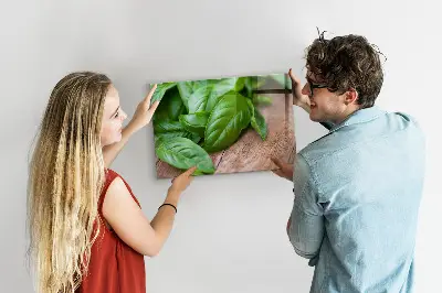 Bazsalikomlevelek mintás fali üzenőtábla