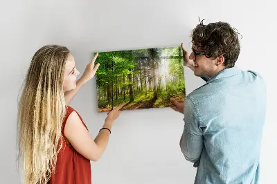 Erdei napfelkelte mágneses fali tábla