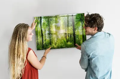 Mágneses fali tábla természetes erdőfák mintával