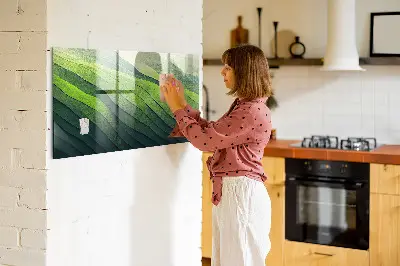Mágneses fali tábla Absztrakt zöld mezők