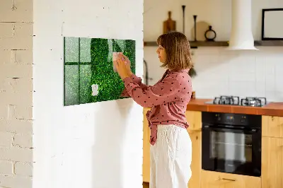 Sövénylevelek mintás fali mágnestábla