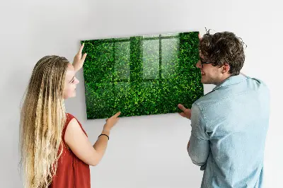 Sövénylevelek mintás fali mágnestábla