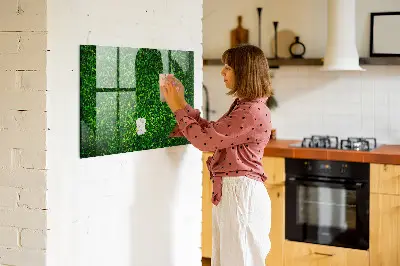 Sövénylevelek mintás fali mágnestábla