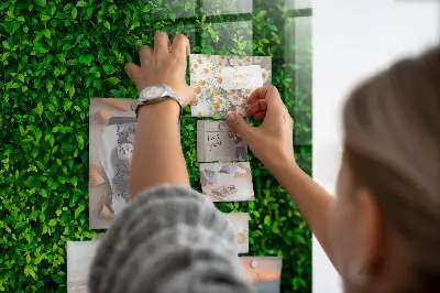 Sövénylevelek mintás fali mágnestábla