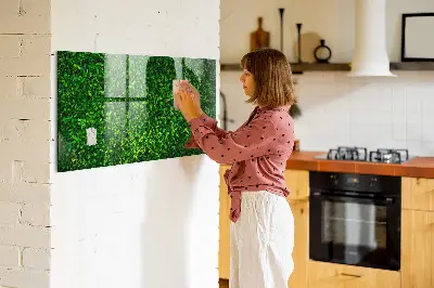 Sövénylevelek mintás fali mágnestábla