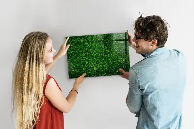 Sövénylevelek mintás fali mágnestábla