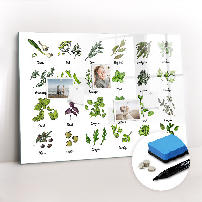 Írható mágneses tábla A fák fajtái