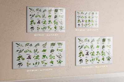 Írható mágneses tábla A fák fajtái