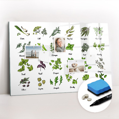 Írható mágneses tábla A fák fajtái