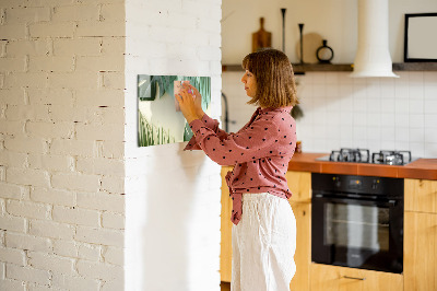 Mágneses rajztábla Monstera levelek