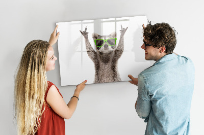 Mágneses rajztábla Mosómedve szemüveggel