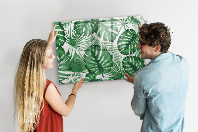 Mágneses tábla markerrel Monstera levelek
