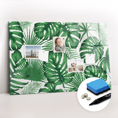 Mágneses tábla markerrel Monstera levelek