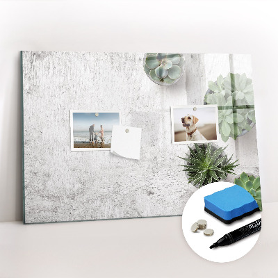 Törölhető tábla Dísznövények