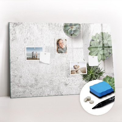 Törölhető tábla Dísznövények