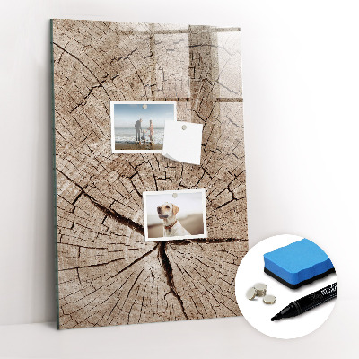 Mágneses törölhető tábla Egy fa keresztmetszete