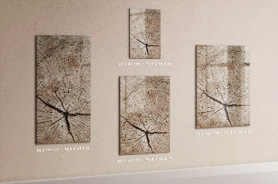 Mágneses törölhető tábla Egy fa keresztmetszete