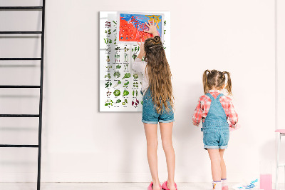 Mágneses tábla filctollal Zöld zöldségek