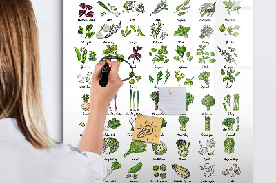 Mágneses tábla filctollal Zöld zöldségek