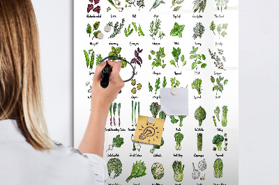 Mágneses tábla filctollal Zöld zöldségek