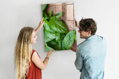 Bazsalikomlevelek mintás mágneses fali tábla