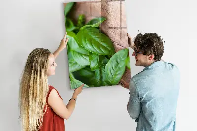 Bazsalikomlevelek mintás mágneses fali tábla