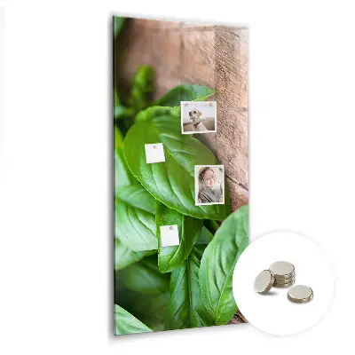 Bazsalikomlevelek mintás mágneses fali tábla