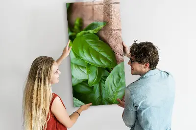 Bazsalikomlevelek mintás mágneses fali tábla