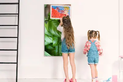 Bazsalikomlevelek mintás mágneses fali tábla