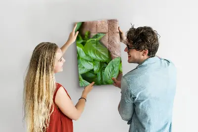 Bazsalikomlevelek mintás mágneses fali tábla