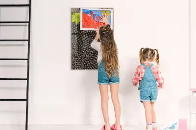 Mágneses fali tábla napraforgómag mintával