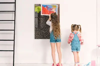Mágneses fali tábla napraforgómag mintával