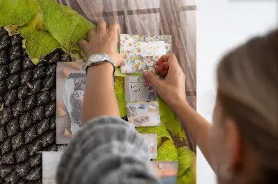 Mágneses fali tábla napraforgómag mintával