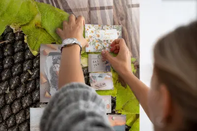 Mágneses fali tábla napraforgómag mintával