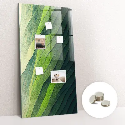 Mágneses fali tábla természet tájkép mintával