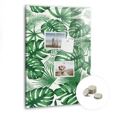 Monstera levél mintás fali mágneses tábla