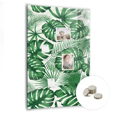 Monstera levél mintás fali mágneses tábla