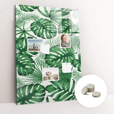 Monstera levél mintás fali mágneses tábla