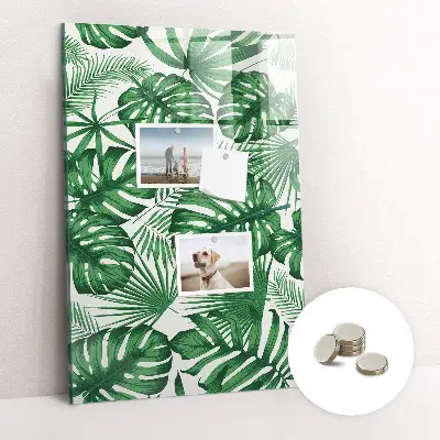Monstera levél mintás fali mágneses tábla