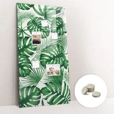 Monstera levél mintás fali mágneses tábla