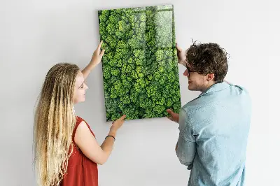 Erdőfák természet mintás fali mágneses tábla