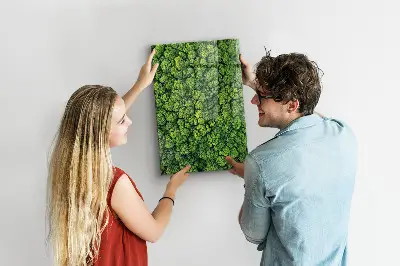 Erdőfák természet mintás fali mágneses tábla